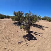 Review photo of Buckhorn Draw Wickiup Site Dispersed Camp by Steve M., June 10, 2026