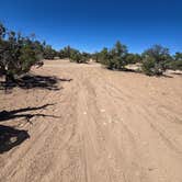 Review photo of Buckhorn Draw Wickiup Site Dispersed Camp by Steve M., June 10, 2026