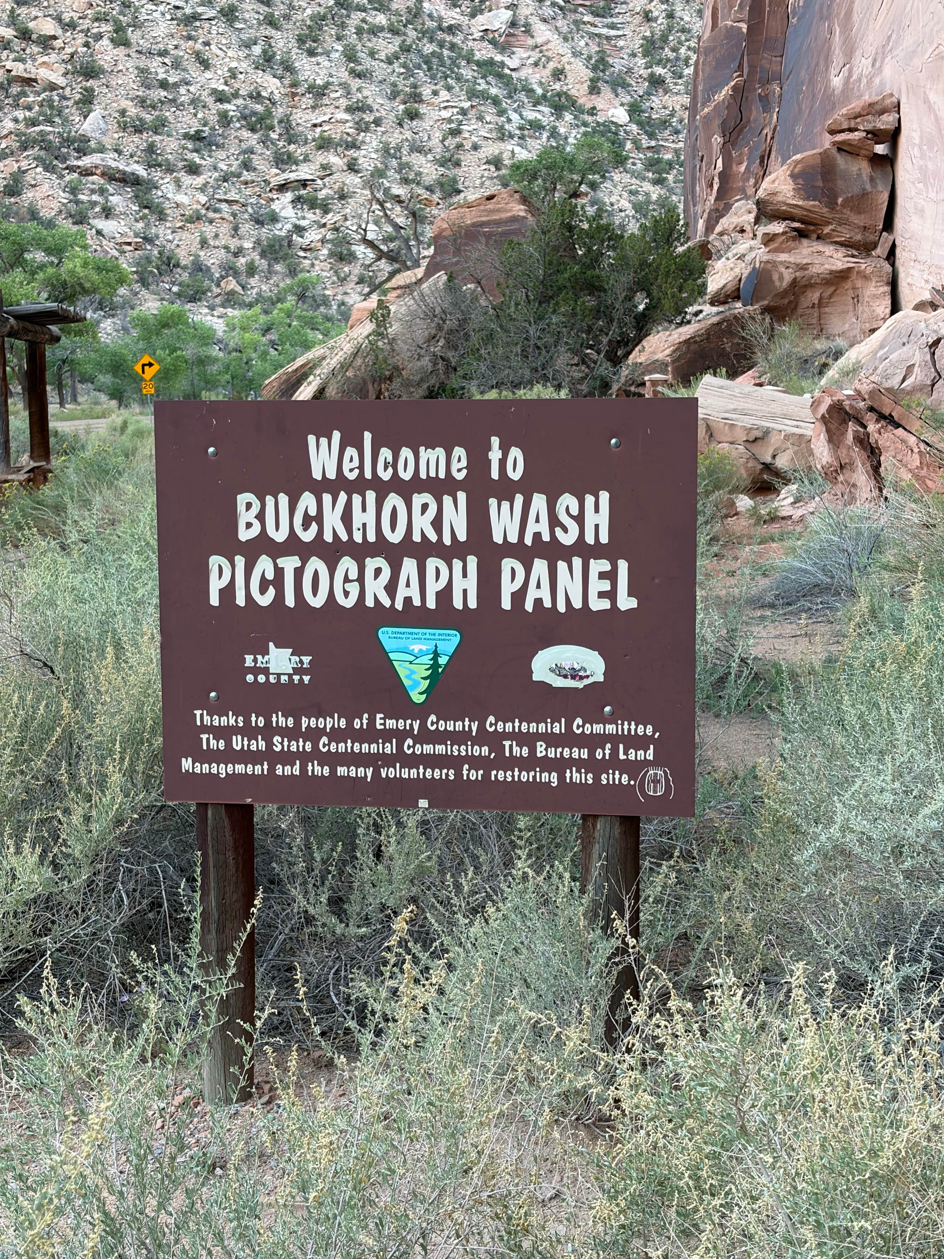 Camper-submitted photo at Buckhorn Draw Drsignated fee Campsite #22 near Price, UT