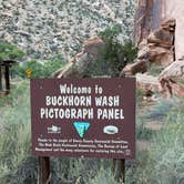 Review photo of Buckhorn Draw Drsignated fee Campsite #22 by Donald B., August 28, 2026