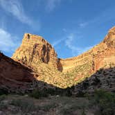 Review photo of Buckhorn Draw Drsignated fee Campsite #22 by Donald B., August 28, 2026