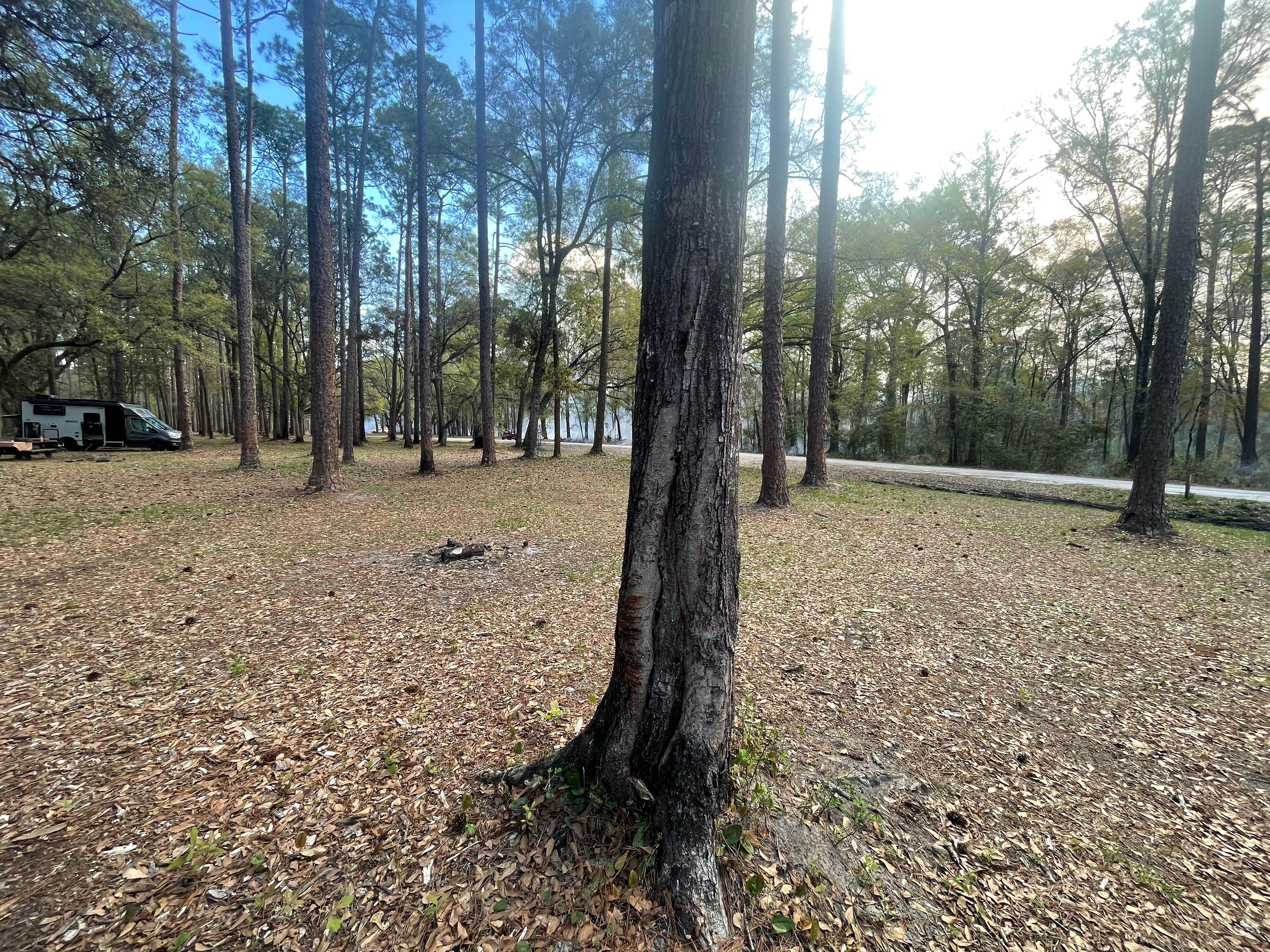 Camper-submitted photo at Buckhorn Hunt Camp near Quincy, FL