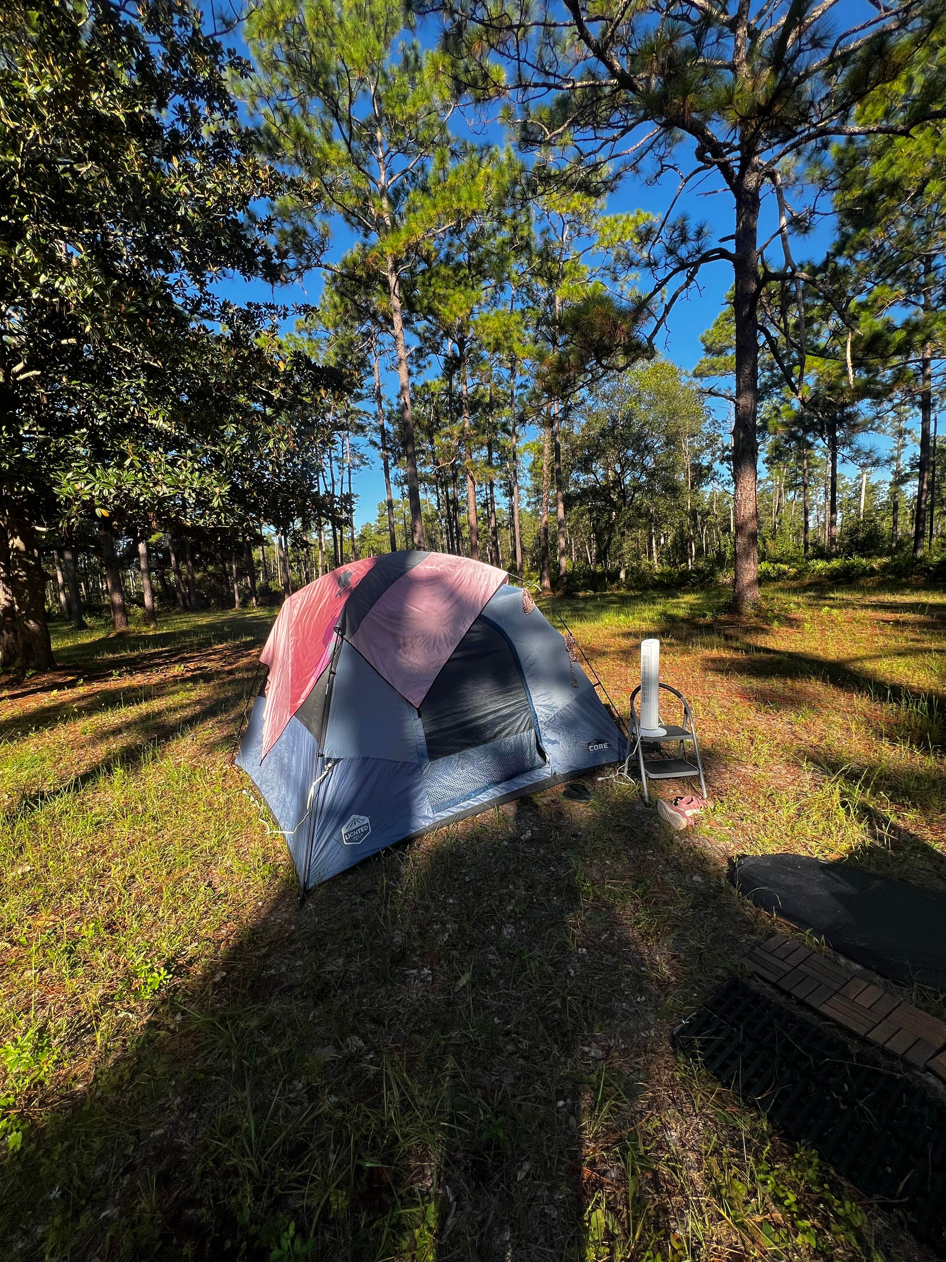 Camper-submitted photo at Buckhorn Hunt Camp near Tallahassee, FL