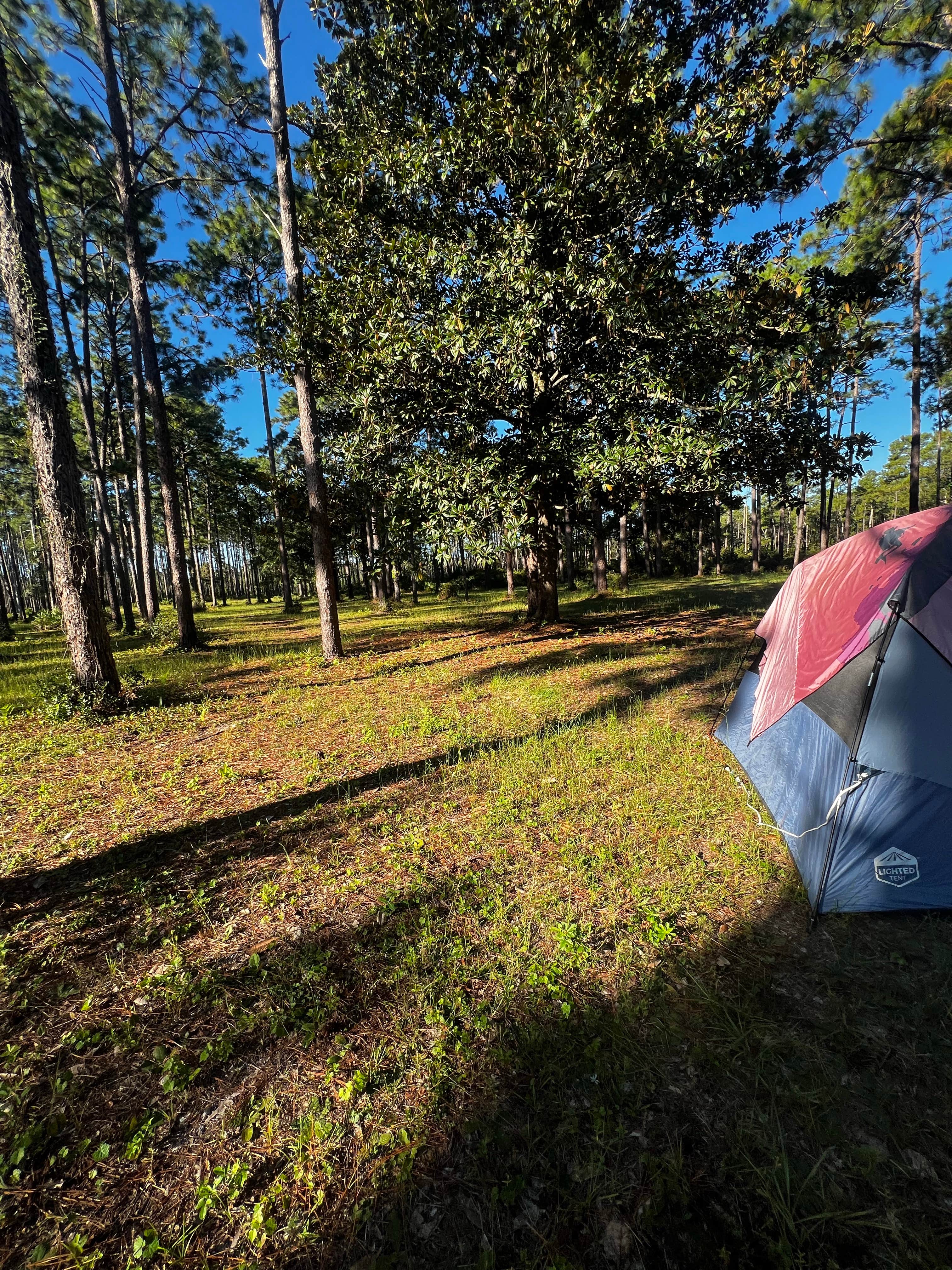 Camper-submitted photo at Buckhorn Hunt Camp near Tallahassee, FL