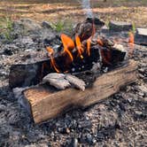 Review photo of Buckhorn Hunt Camp by Addy C., March 5, 2026