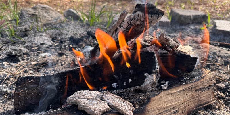 Camper submitted image from Buckhorn Hunt Camp