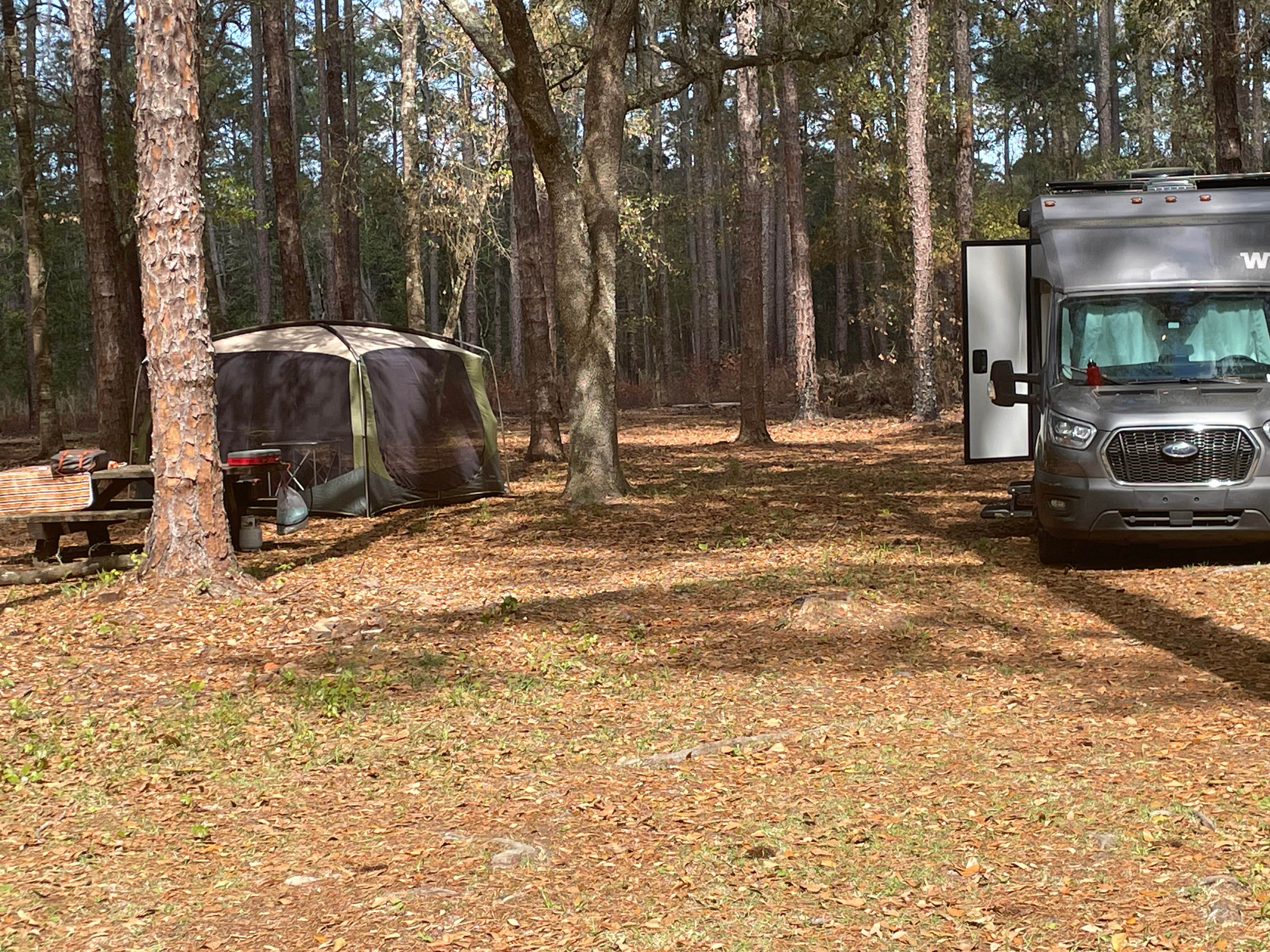 thomas V.'s photo at Buckhorn Hunt Camp near Wacissa, FL