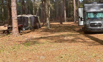 Camping near Myron B. Hodge City Park: Buckhorn Hunt Camp, Midway, Florida