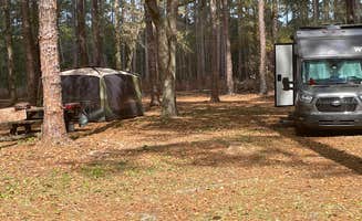 thomas V.'s photo at Buckhorn Hunt Camp near Tallahassee, FL