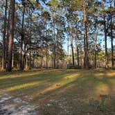 Review photo of Buckhorn Hunt Camp by Ethan D., March 22, 2026