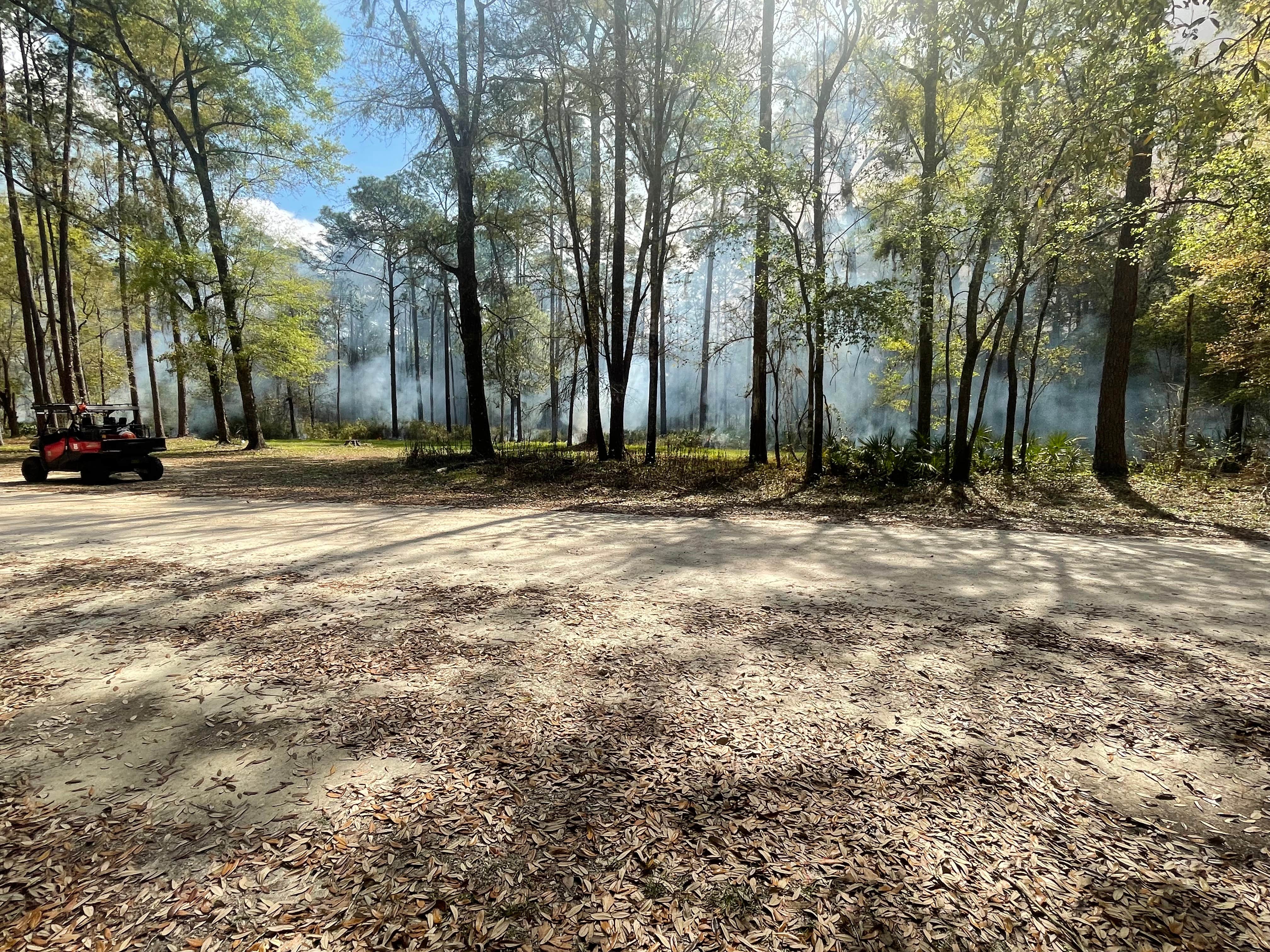 Camper-submitted photo at Buckhorn Hunt Camp near Quincy, FL