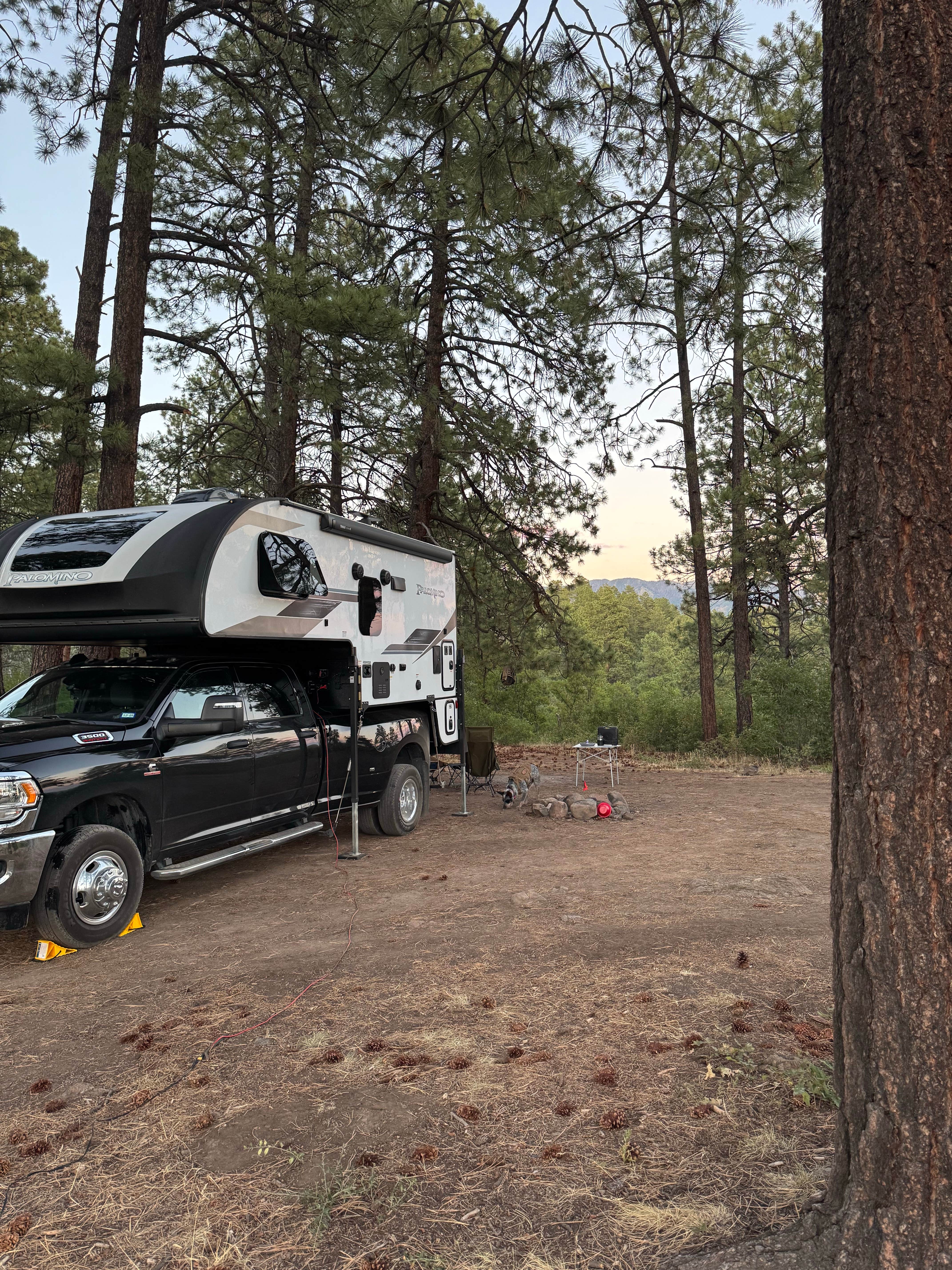 Bonnie B.'s photo of camping with pets at Buckles Lake Rd near Tierra Amarilla, NM