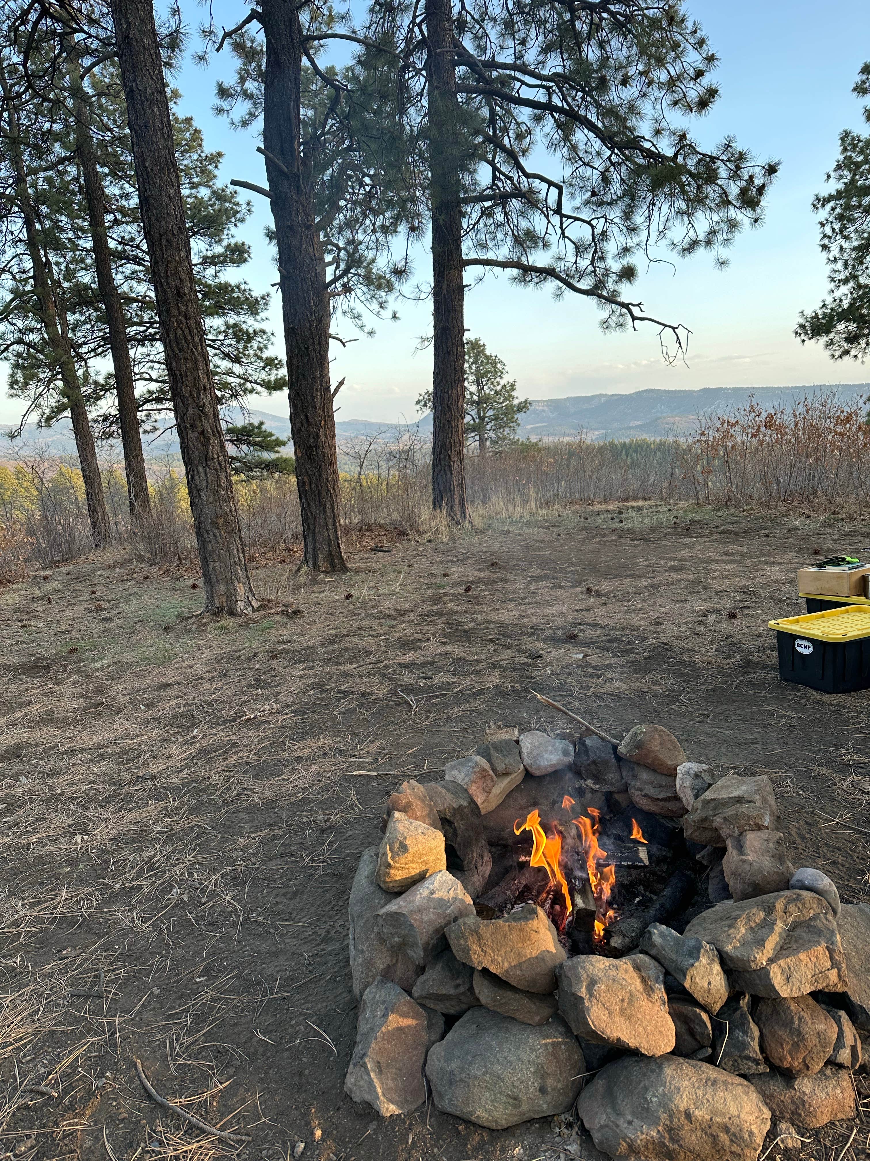 Camper-submitted photo at Buckles Lake Rd near Pagosa Springs, CO