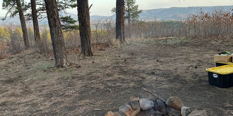 Camper submitted image from Buckles Lake Rd