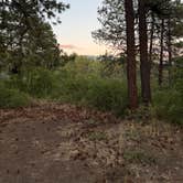 Review photo of Buckles Lake Rd by Bonnie B., August 18, 2025