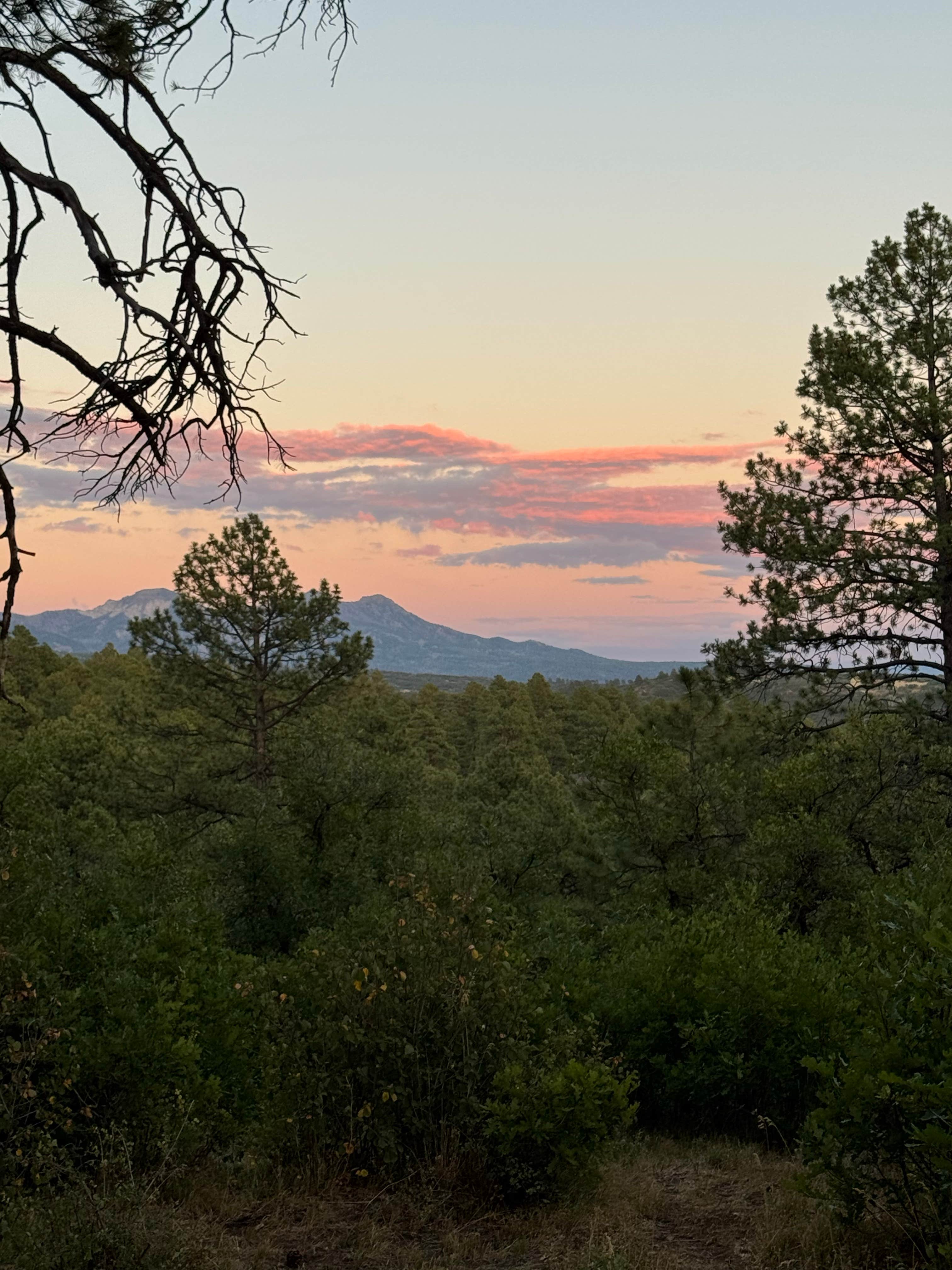 Camper-submitted photo at Buckles Lake Rd near Pagosa Springs, CO