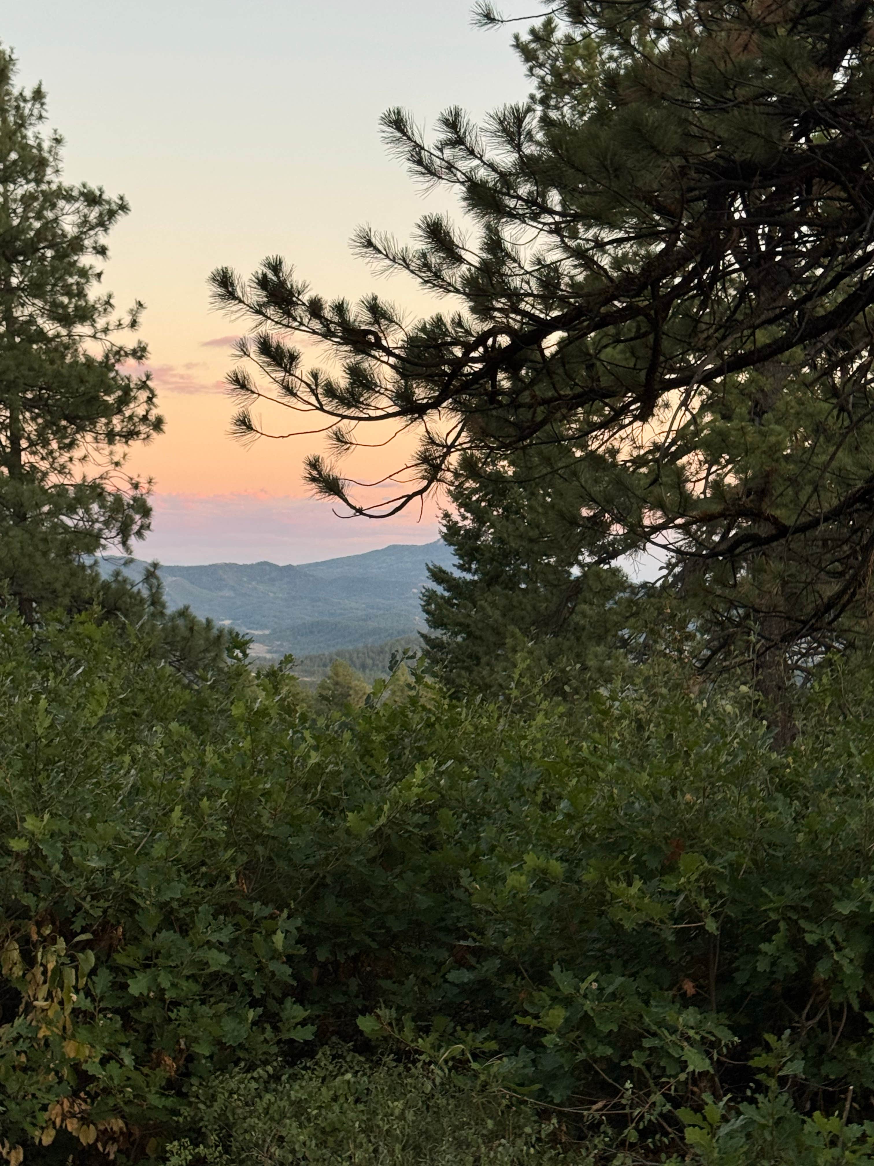 Camper-submitted photo at Buckles Lake Rd near Pagosa Springs, CO
