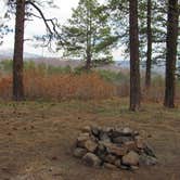 Review photo of Buckles Lake Rd by Ronan G., April 17, 2025