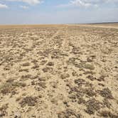Review photo of Bucknum Rd BLM Dispersed Camping by Steve M., August 12, 2026