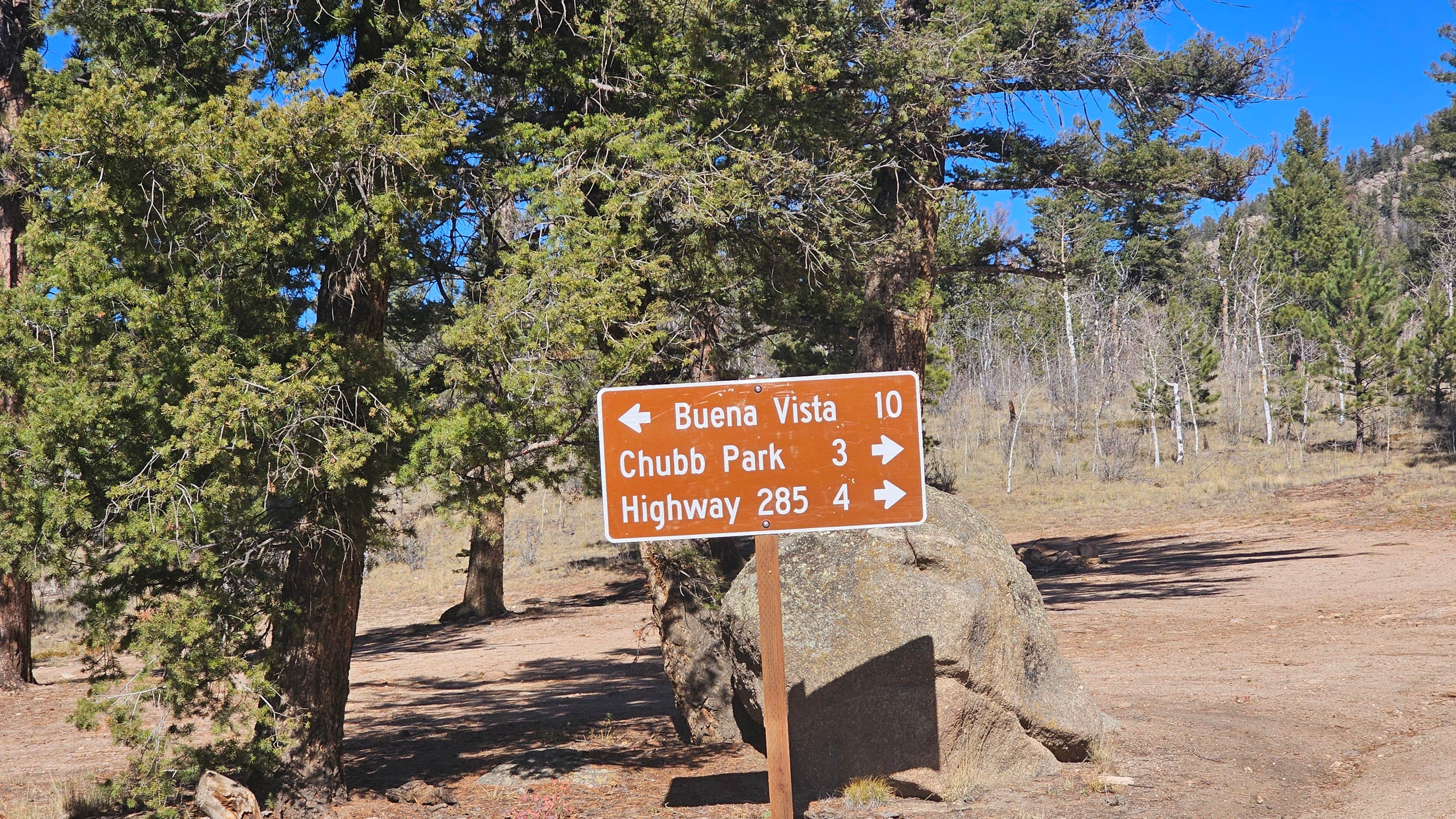 Camper submitted image from Buena Vista Dispersed - 5