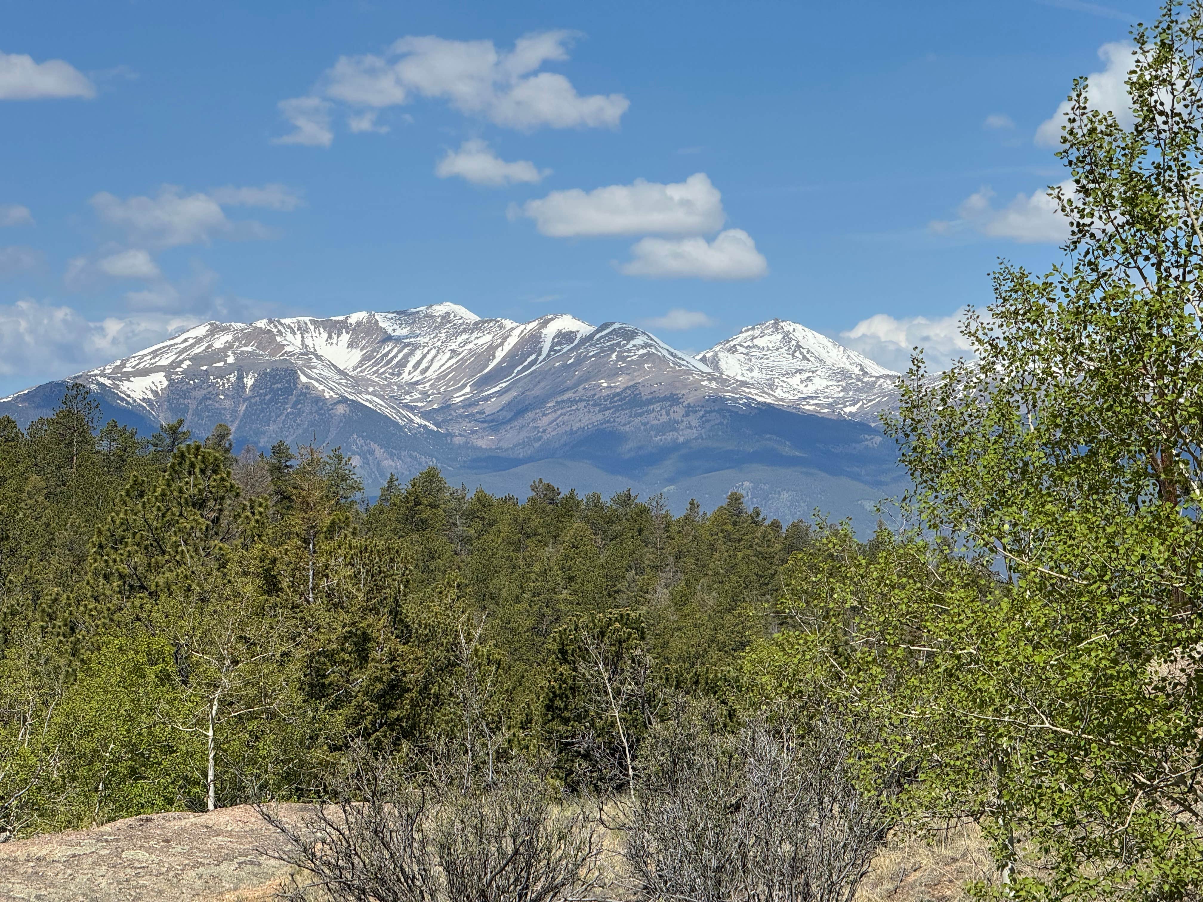 Camping near Antero Reservoir Campground: Buena Vista Dispersed, Buena Vista, Colorado
