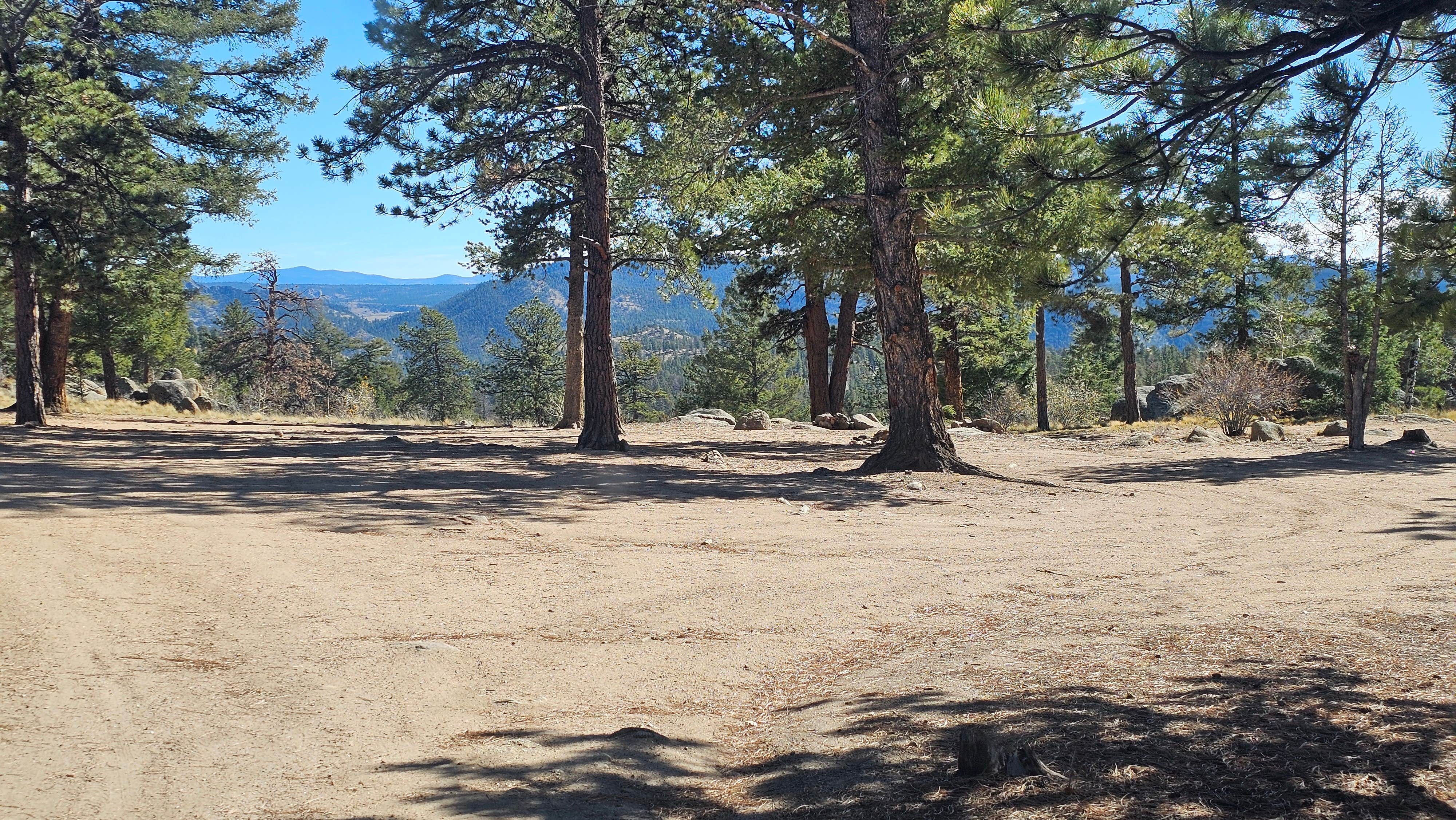 Camper-submitted photo at Buena Vista Dispersed near Granite, CO