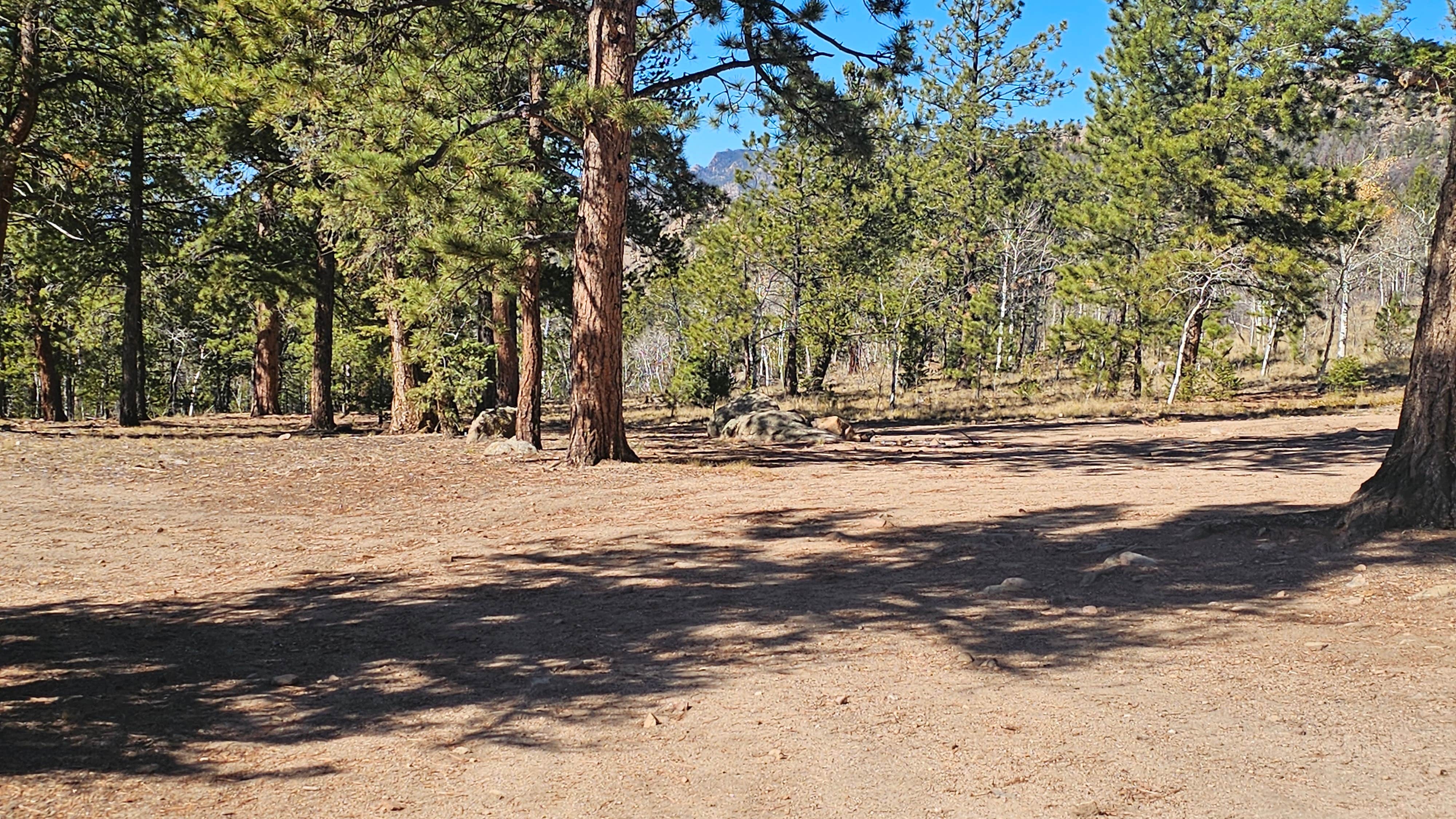 Camping near BV Overlook: Buena Vista Dispersed, Buena Vista, Colorado