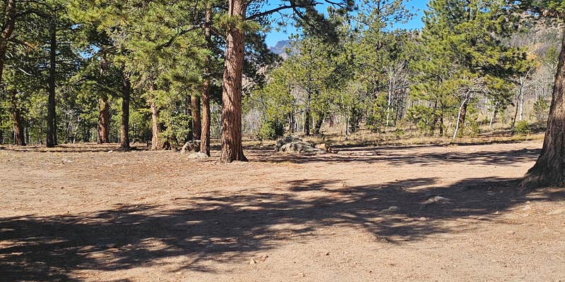 Camper submitted image from Buena Vista Dispersed