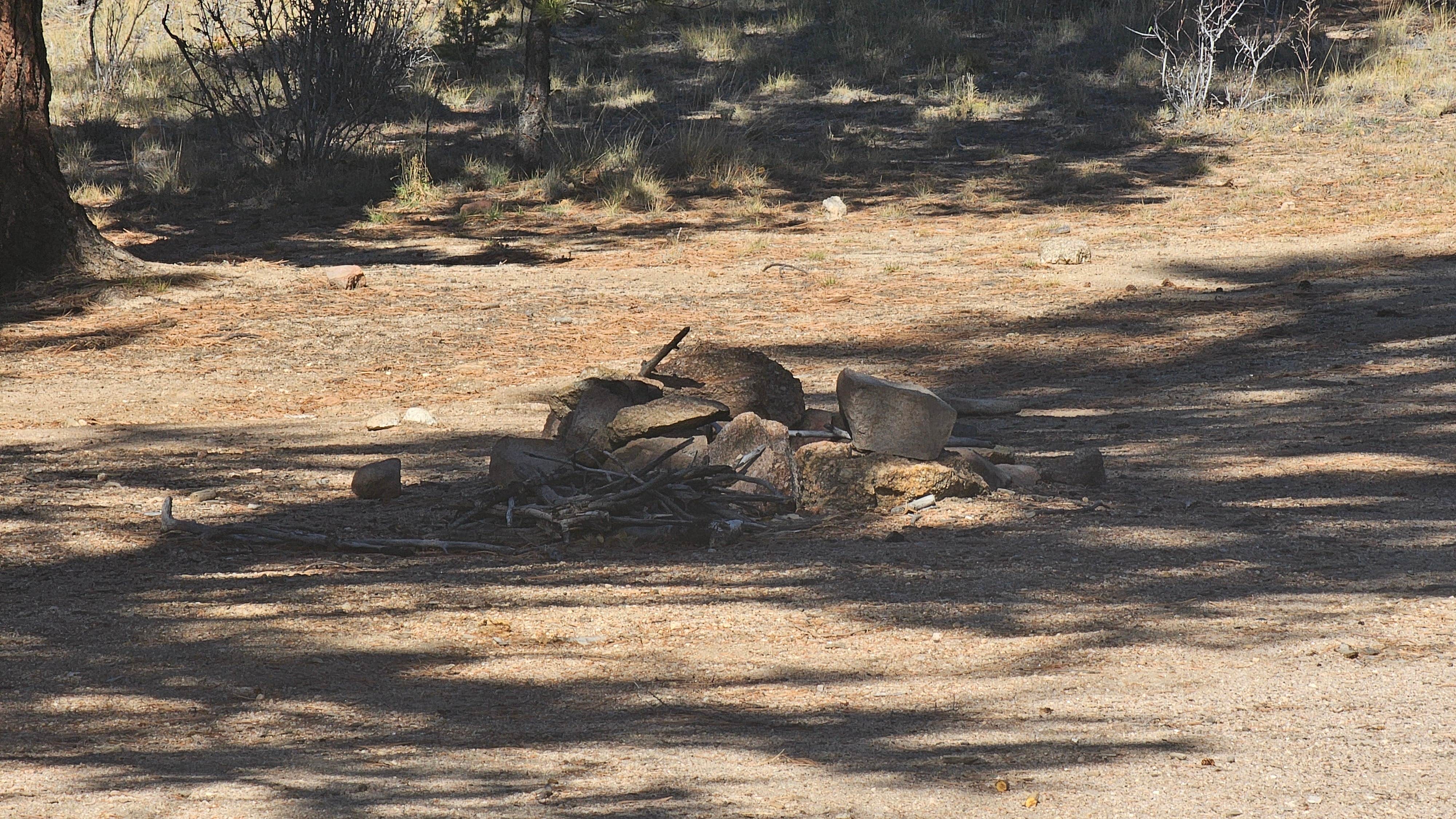 Camper-submitted photo at Buena Vista Dispersed near Granite, CO
