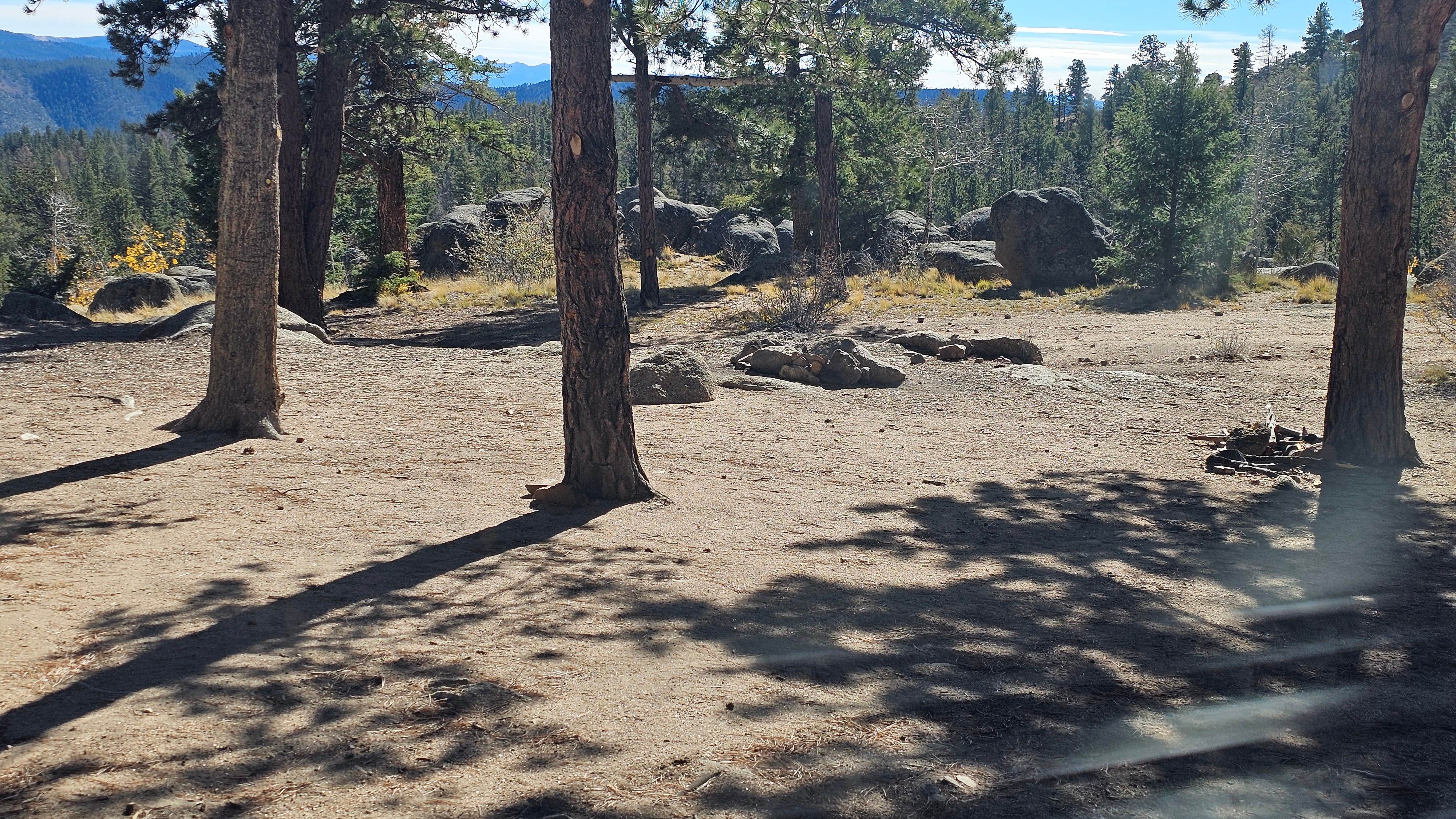 Camper-submitted photo at Buena Vista Dispersed near Granite, CO