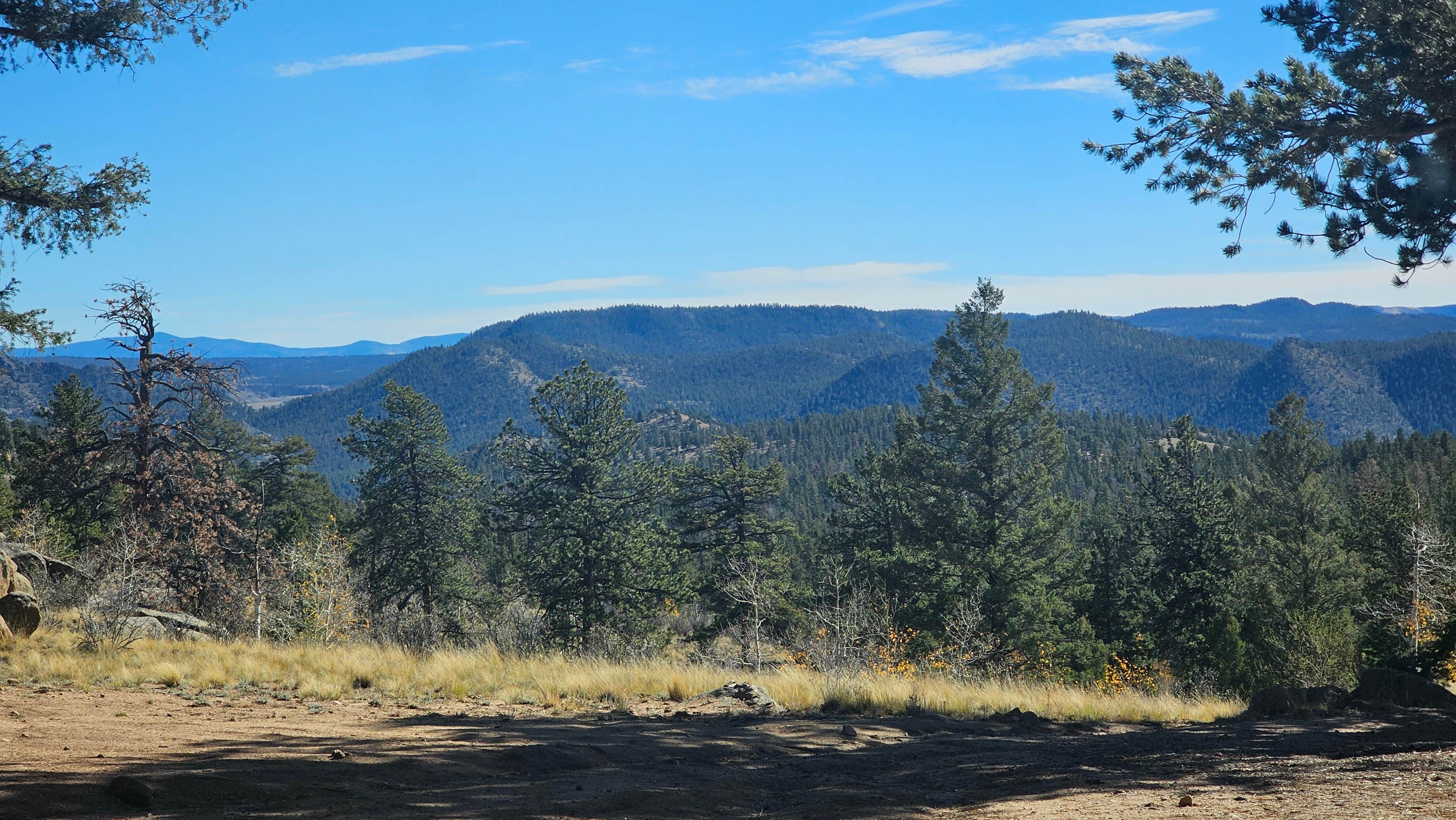 Camper-submitted photo at Buena Vista Dispersed near Granite, CO