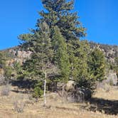 Review photo of Buena Vista Dispersed by johny R., October 22, 2025
