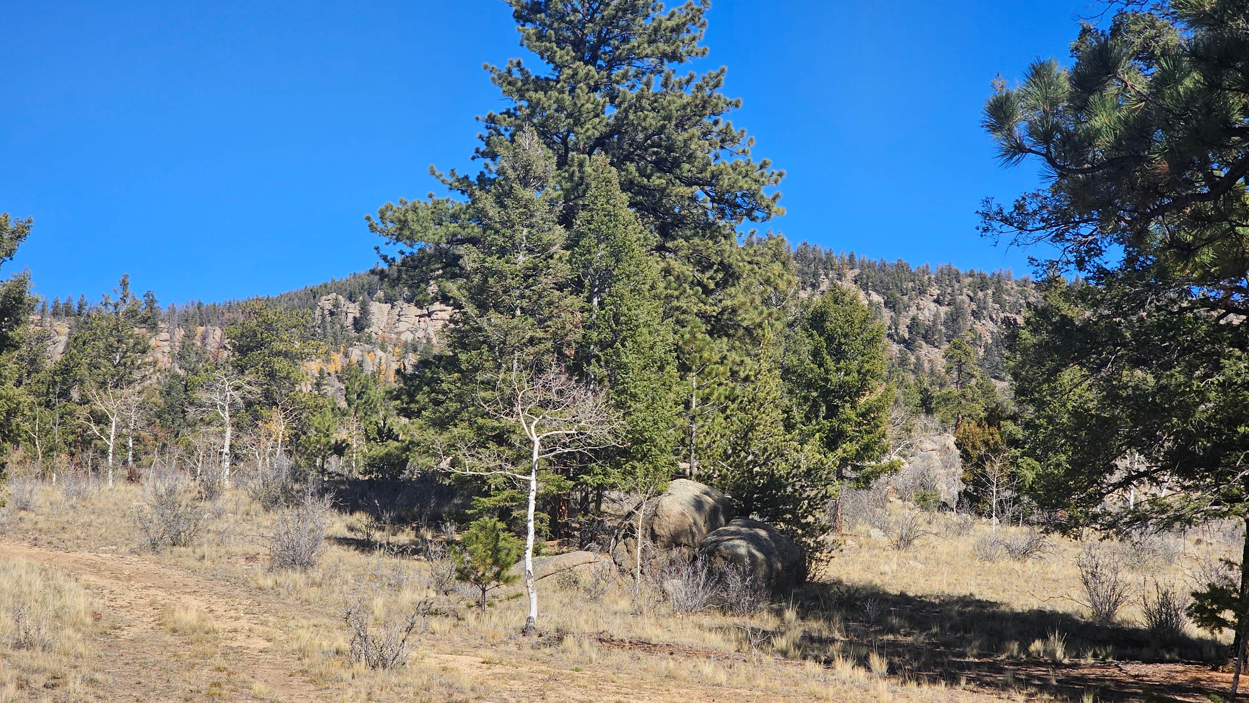 Camper submitted image from Buena Vista Dispersed - 4