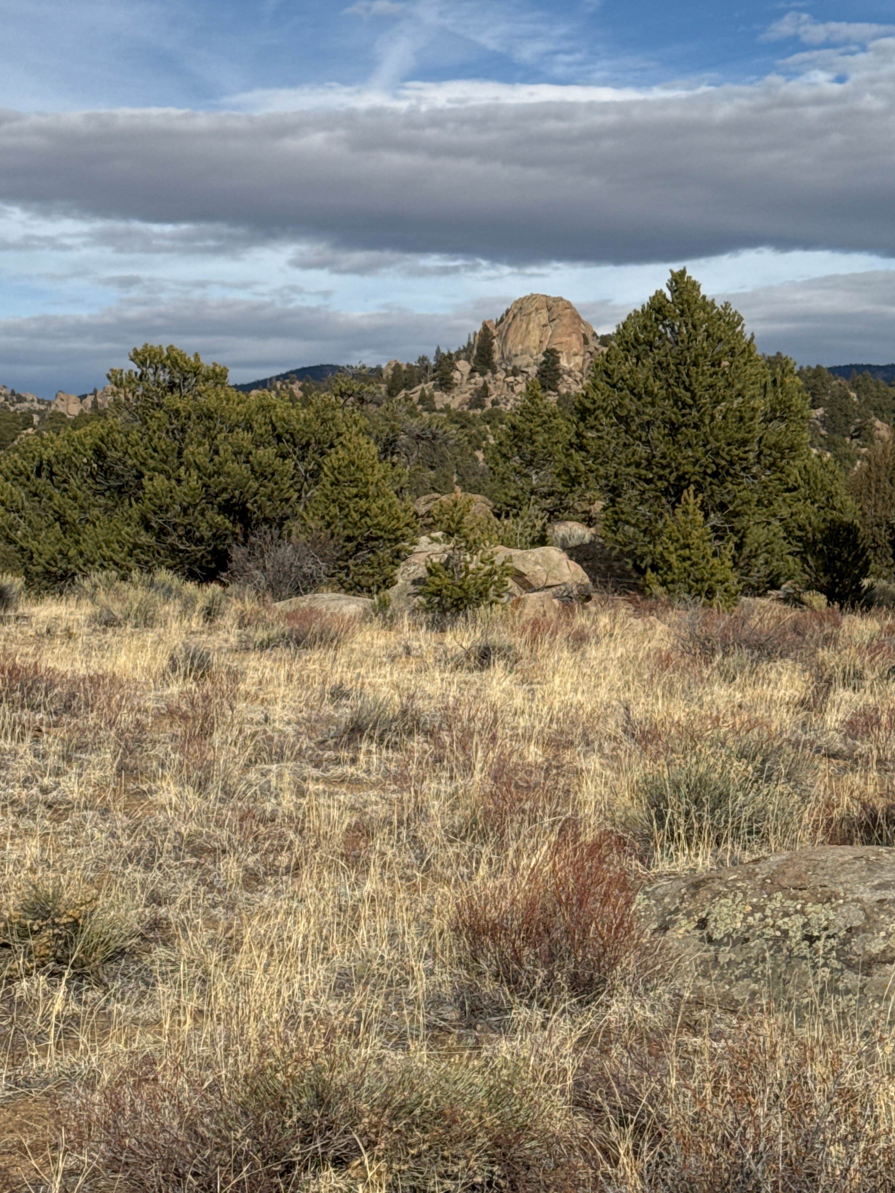Camper-submitted photo at Buena Vista Dispersed near Granite, CO