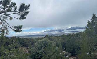 Camping near West Lenhardy Cutoff: Buena Vista Overlook, Buena Vista, Colorado