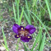 Review photo of Buescher State Park Campground by Jim P., May 13, 2024