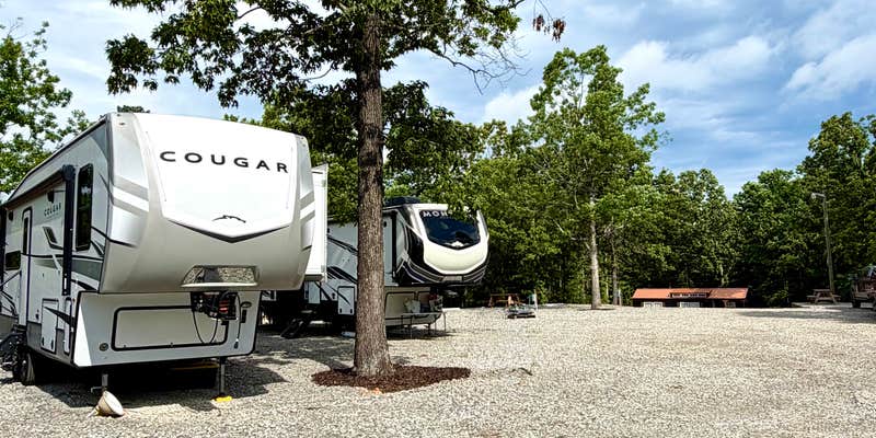 Camper submitted image from Buffalo Bend RV Park