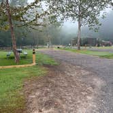 Review photo of Buffalo Camping & Canoeing by Jason W., July 14, 2026