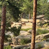 Review photo of Buffalo Creek Recreation Area by Ken H., July 17, 2025