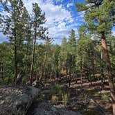 Review photo of Buffalo Creek Recreation Area by Sam D., August 4, 2026