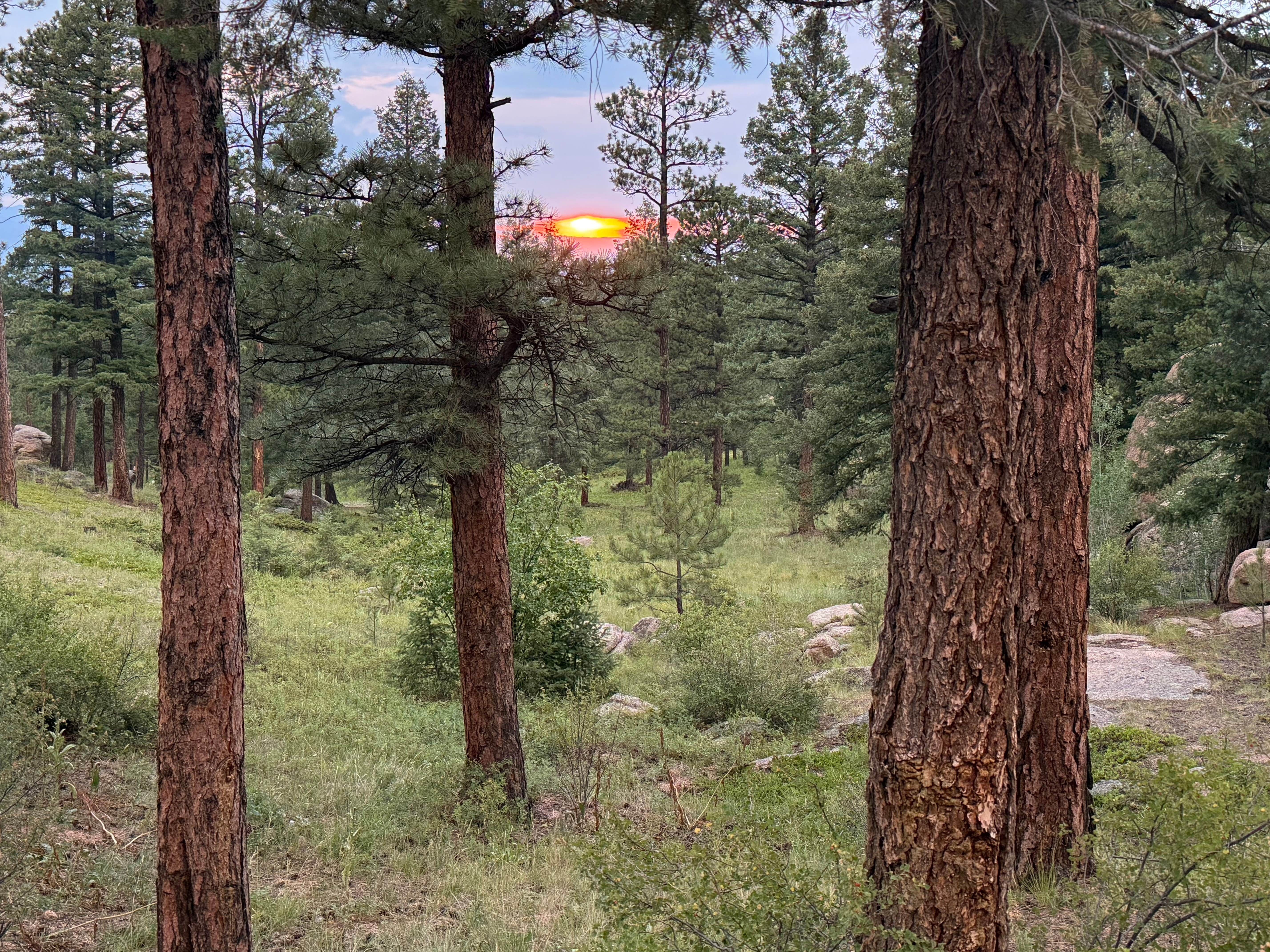 Camper-submitted photo at Buffalo Creek Recreation Area near Evergreen, CO