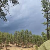 Review photo of Buffalo Creek Recreation Area by Sam D., August 4, 2026