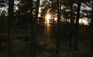 Will R.'s photo of a dispersed camping area at Buffalo Creek Recreation Area near Parker, CO
