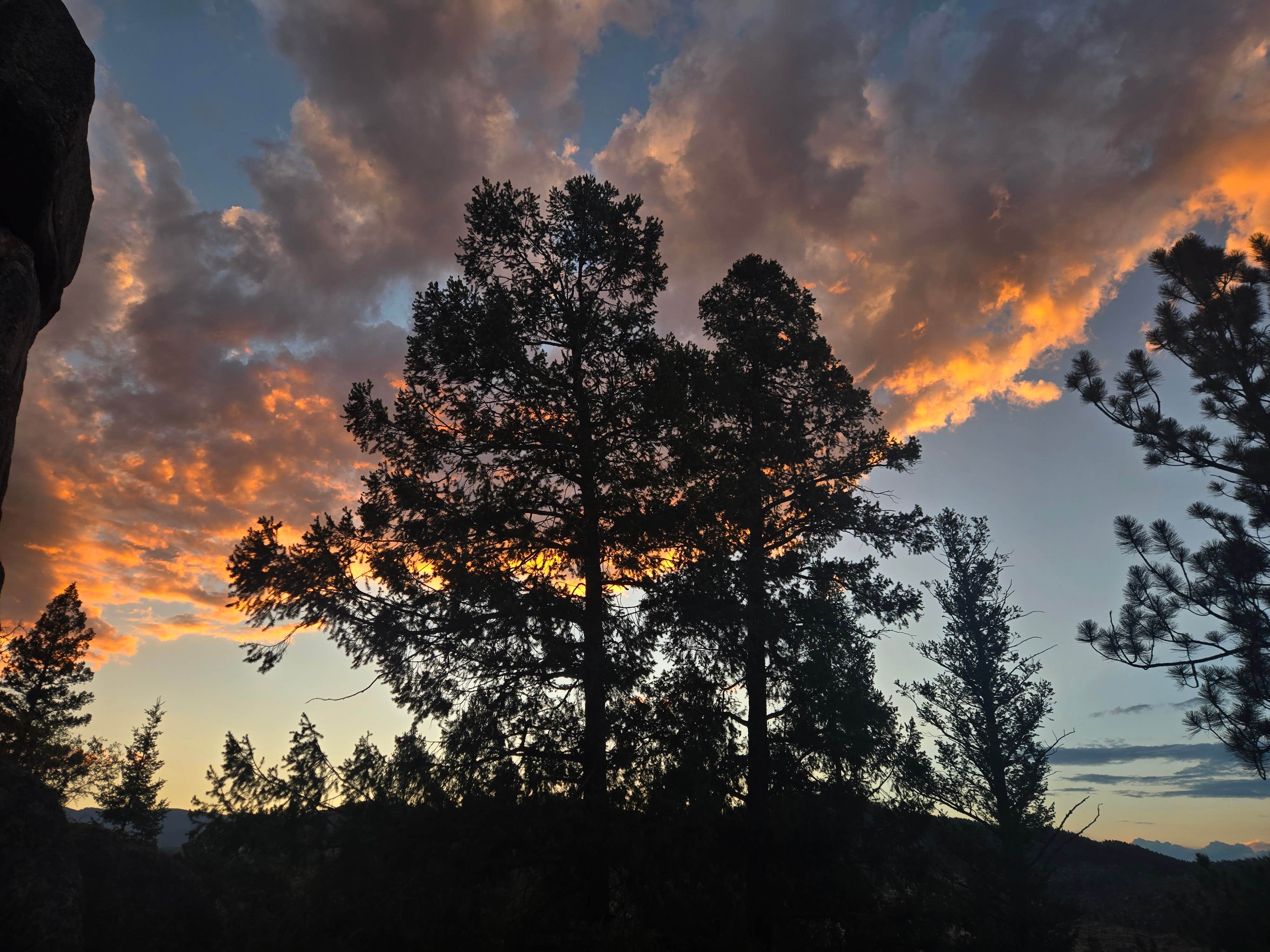 Camper-submitted photo at Buffalo Creek Recreation Area near Lone Tree, CO