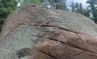 Keiko F.'s photo of camping with pets at Buffalo Creek Recreation Area near Littleton, CO