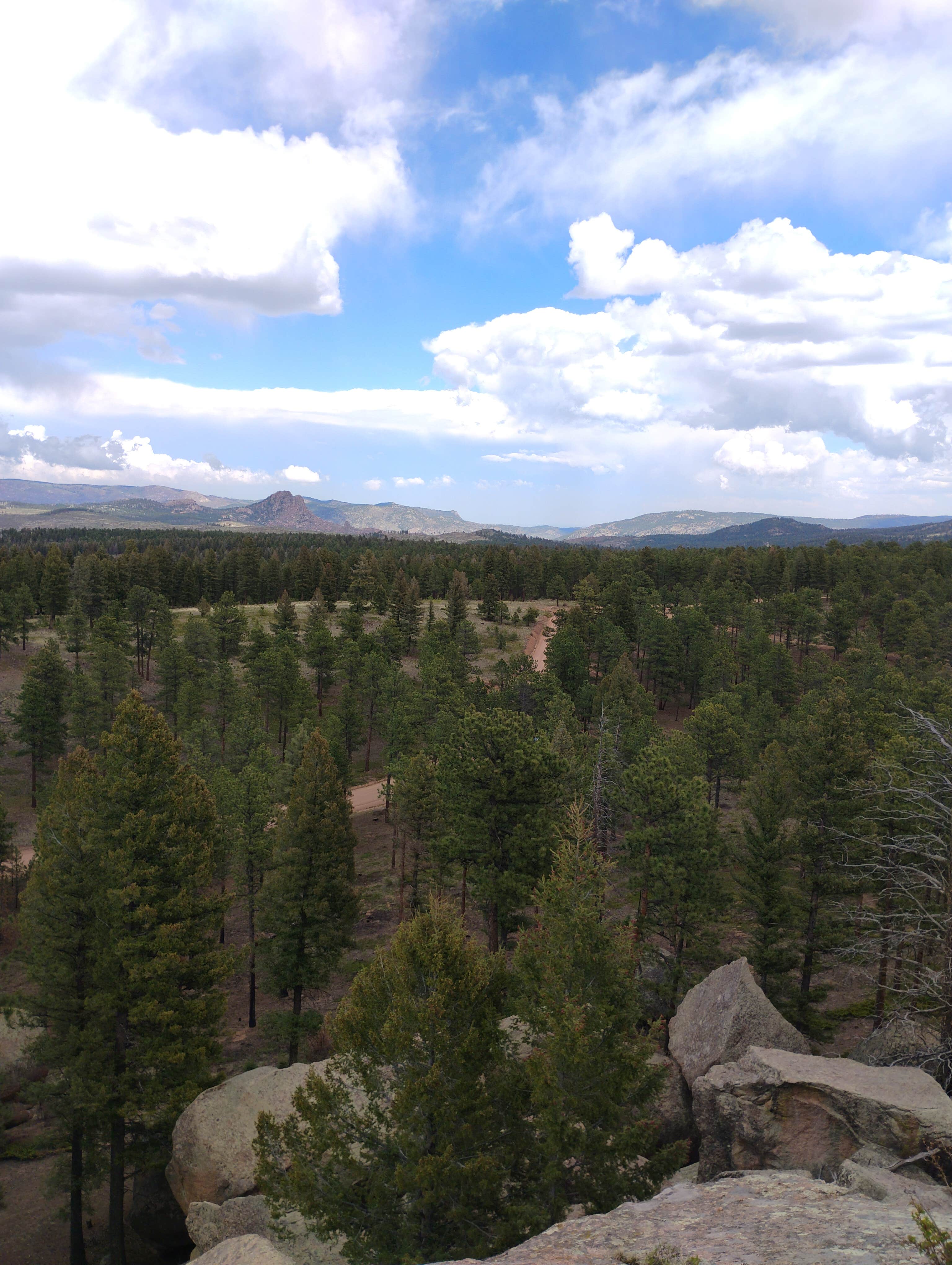 atea J.'s photo of a dispersed camping area at Buffalo Creek Recreation Area near Kittredge, CO