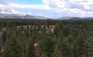 atea J.'s photo of a dispersed camping area at Buffalo Creek Recreation Area near Deckers, CO