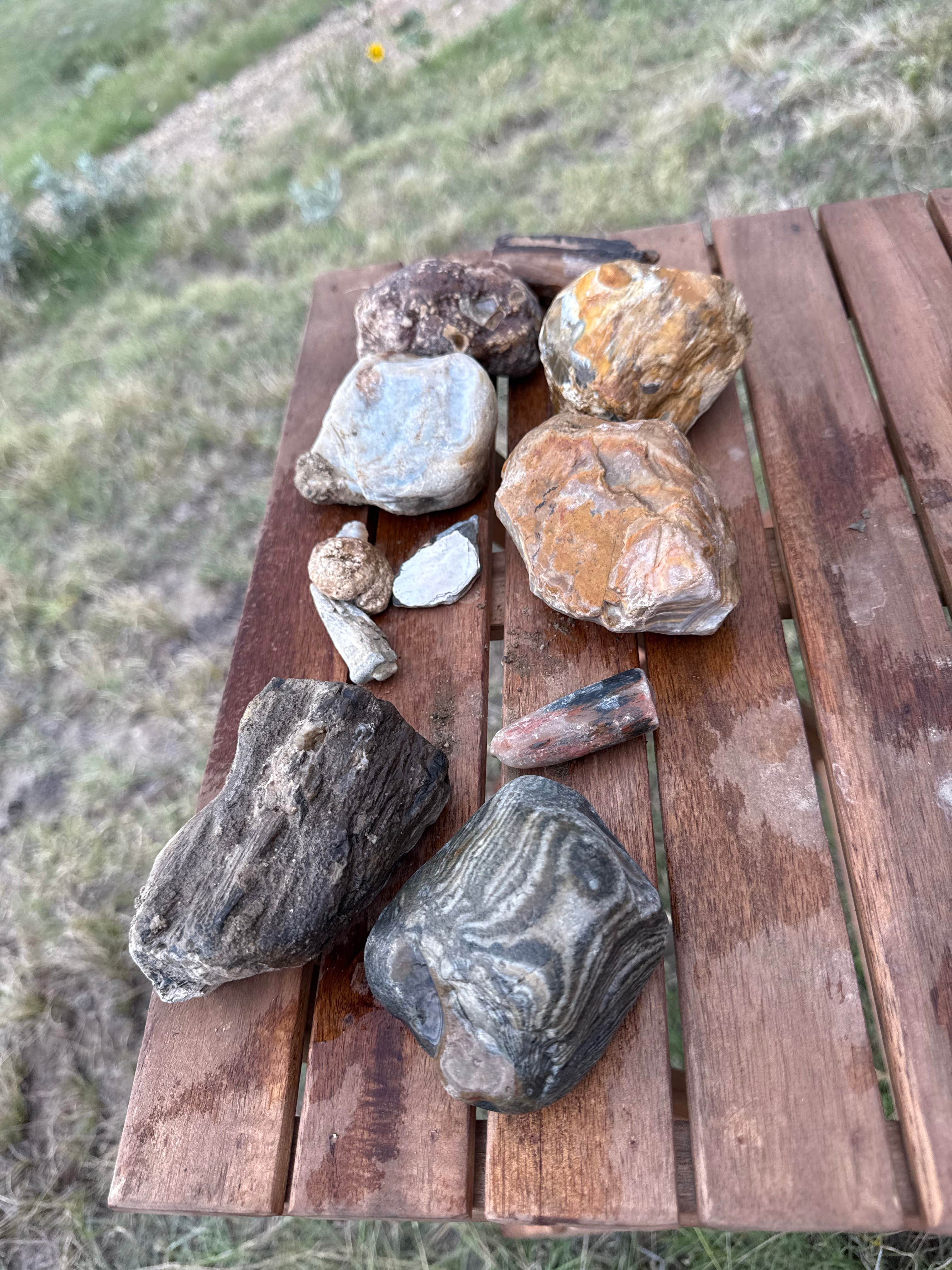 Camper submitted image from Buffalo Gap national grassland boondocking - 3
