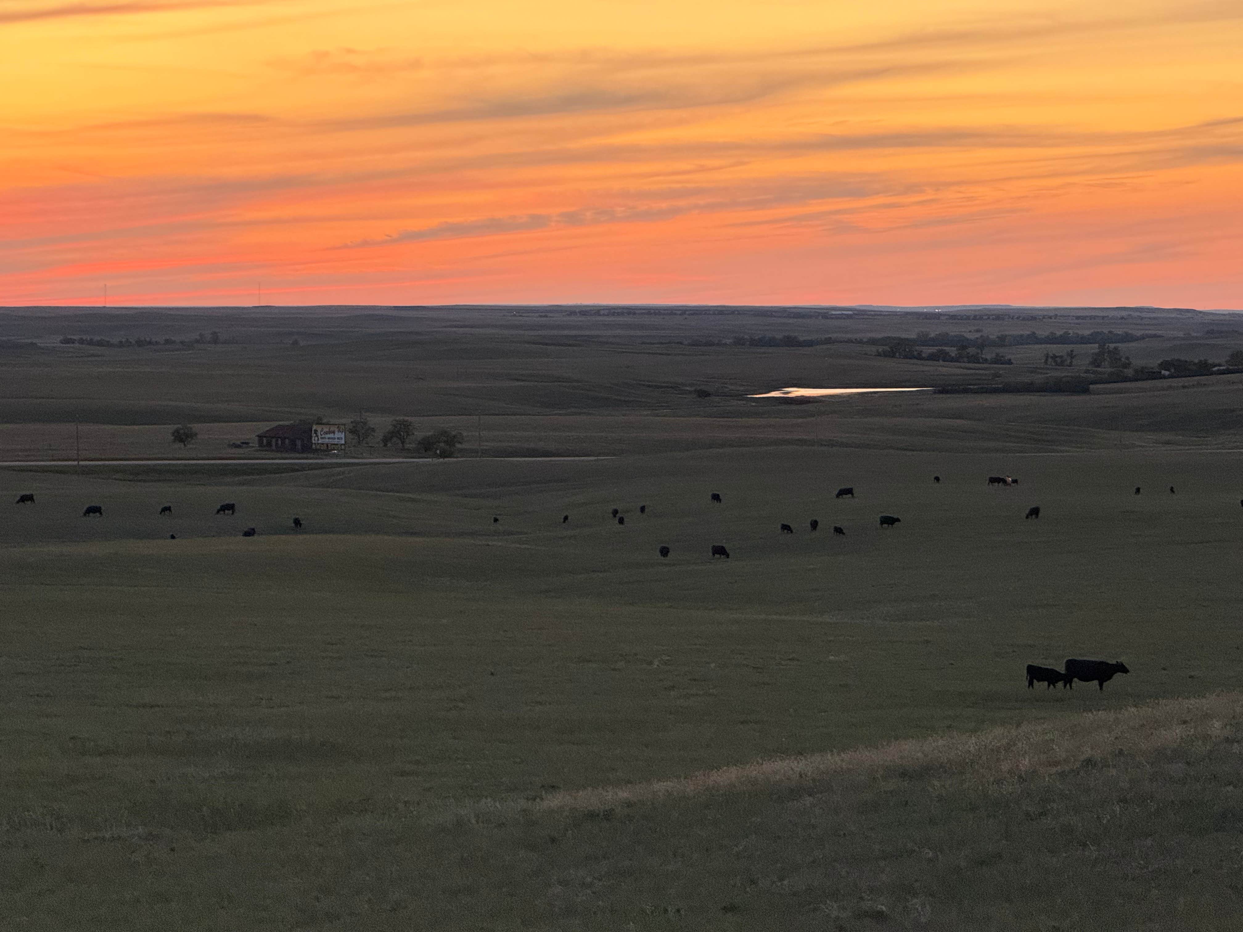 Paul L.'s photo of a dispersed camping area at Buffalo Gap National Grasslands near Philip, SD