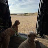 Review photo of Buffalo Gap National Grasslands by Paul L., August 27, 2025
